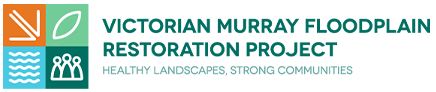 VMFRP Logo